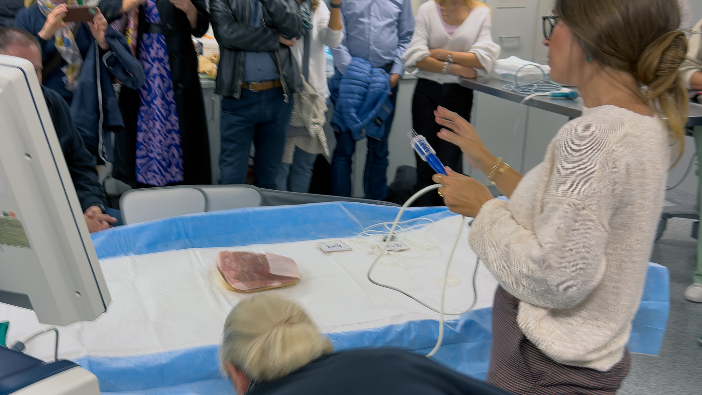 Prof. Dr. Platz Batista da Silva demonstriert die BEST-Technik am Gewebemodell